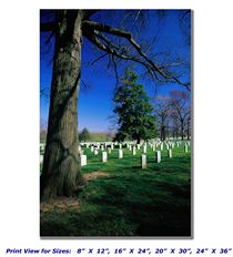 Arlington National Cemetery on Canvas