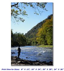 Fishing Pine Creek on Canvas