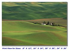 Fields of Green on Canvas