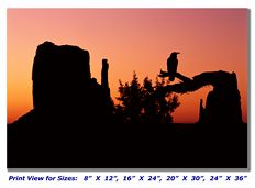 Raven at Monument Valley on Canvas
