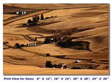 Farm Fields in Washington State on Canvas