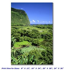 Lush Hawaii on Canvas