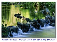 Hawaiian Stream on Canvas