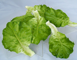 Loose Lettuce Leaves