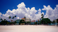 Screen Image Print #116 Life in South Beach (Screen Print Only.)
