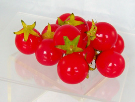 Cherry Tomatoes (Set of 12)